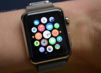   Apple Watch  73% 