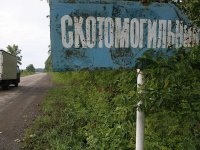 Аким Карагандинской области пожаловался премьеру на нехватку ветврачей 