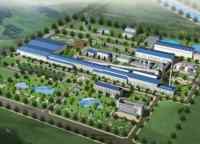  China triumph стала акционером стекольного завода в Кызылорде 