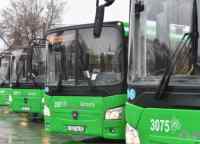       Green Bus 